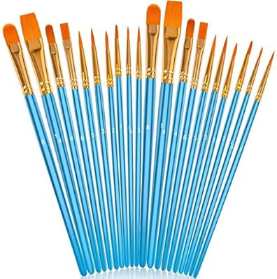 Soucolor Acrylic Paint Brushes Set, 20Pcs Artist Paintbrushes Paint Brushes for Acrylic Oil Water... | Amazon (US)