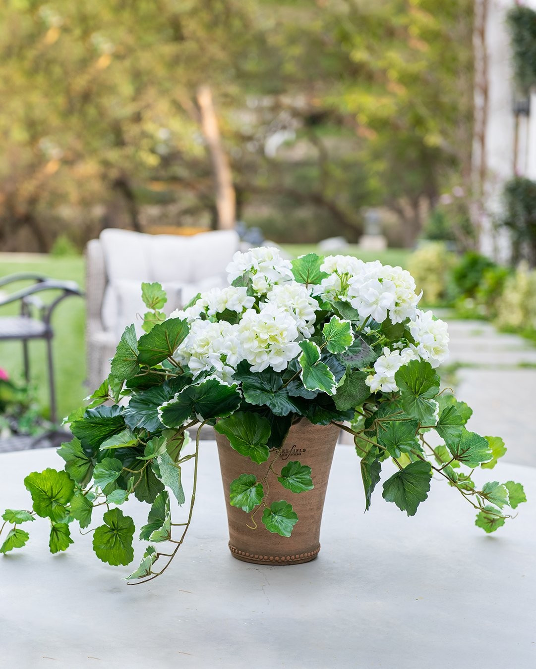 UV Protected Indoor/Outdoor Geranium Bush in Cream White - 18" | Afloral (US)