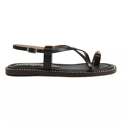 Women's Sam Edelman Tenly Sandals | Scheels Sports