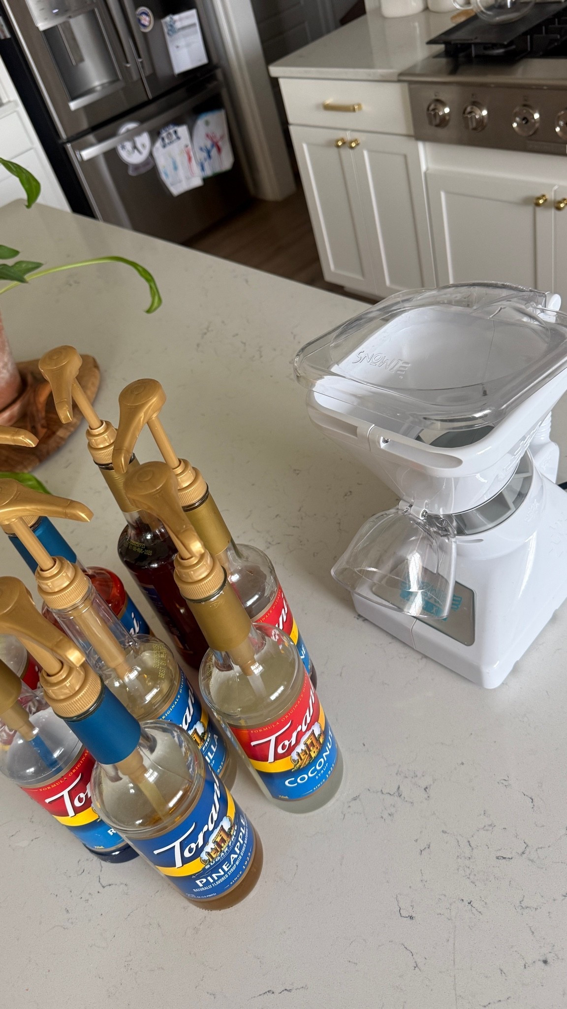 My snow cone starter pack! This is everything I have and I use this snow cone machine all summer long! The softest and fluffiest ice. I also found the place that I linked to be the most inexpensive place to find the snow cone syrup online.

#LTKTravel #LTKActive #LTKdayinmylife