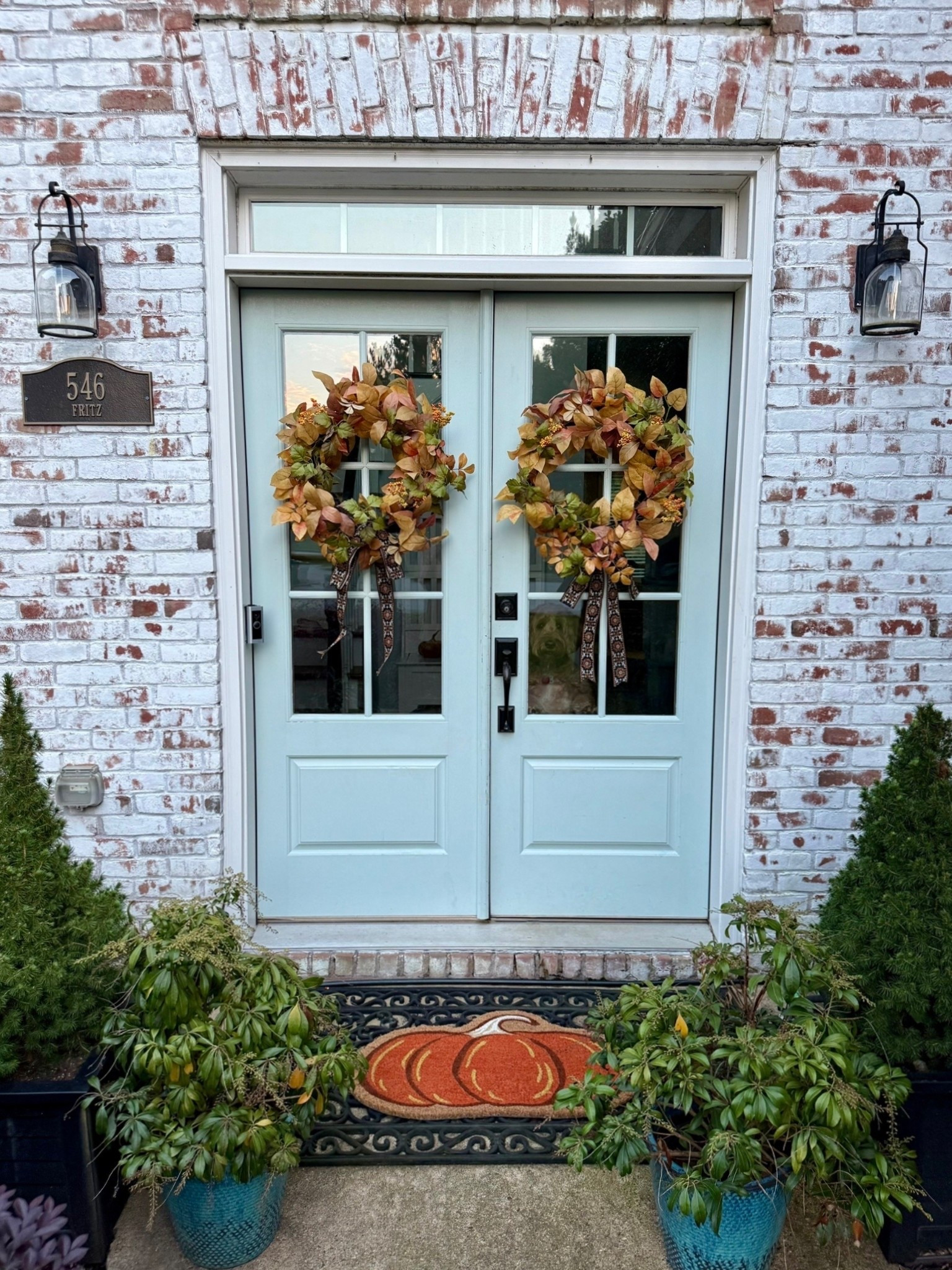 🍂 Double the wreaths, double the charm ✨ Add a festive pumpkin doormat and you’ve got the perfect fall-ready entry! 🎃 Linked the pieces so you can bring these cozy touches to your doorstep too.
#ShopWithBeccaFritz #LTKhome #LTKseasonal


#LTKFindsUnder50 #LTKSaleAlert