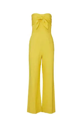 Alene Tie Front Jumpsuit | Rent the Runway