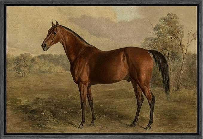 SIGNFORD Framed Canvas Print Wall Art Equestrian Portrait of a Chestnut Horse Classic Equine Illu... | Amazon (US)