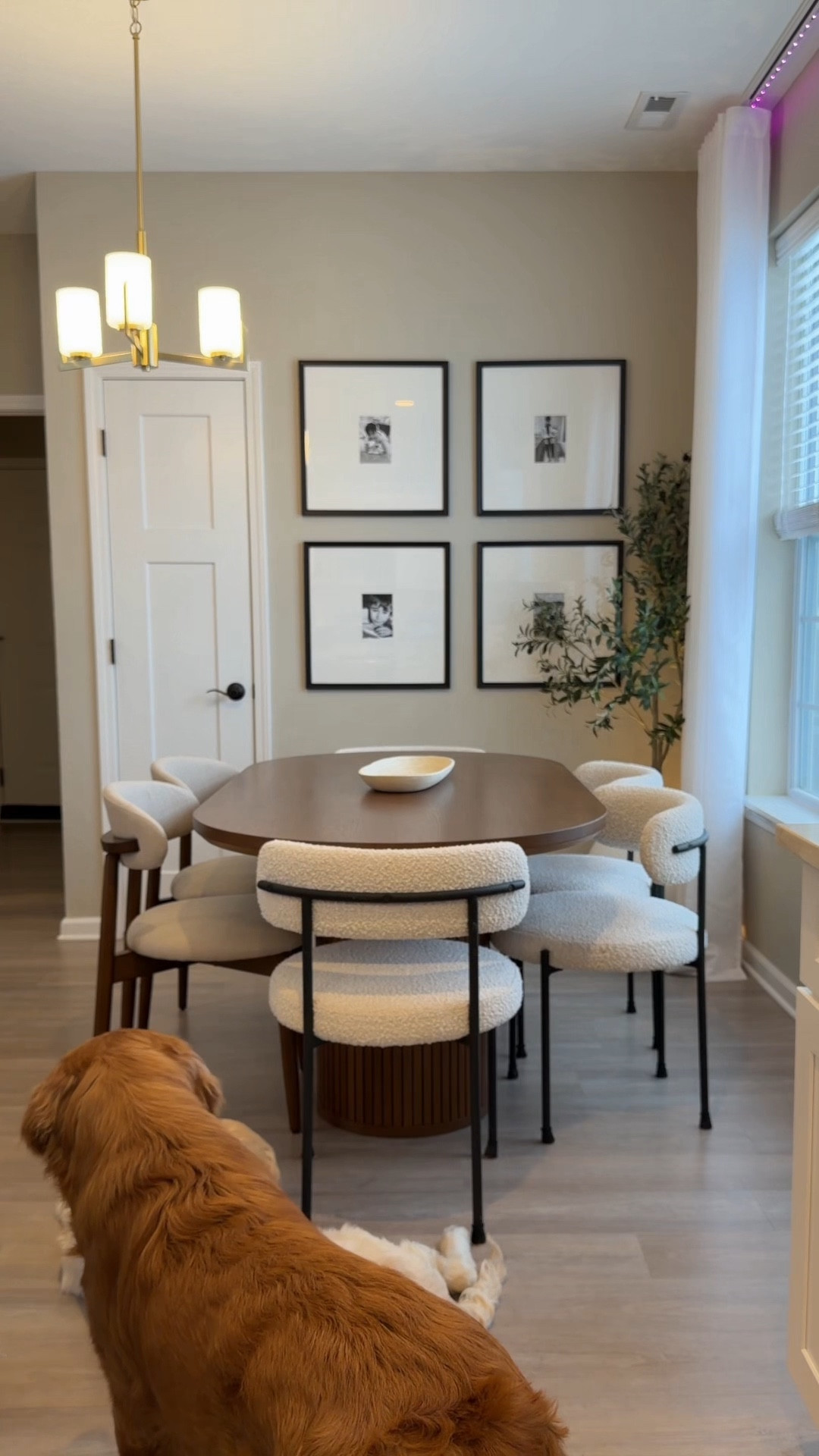 Sunday reset links! 🤍 Bed frame, curtains, outfit, dining table, coffee machine, dog gate, Amazon bed linens, nugget ice machine, dog toy basket, Dyson cordless vacuum, nightstand lamps