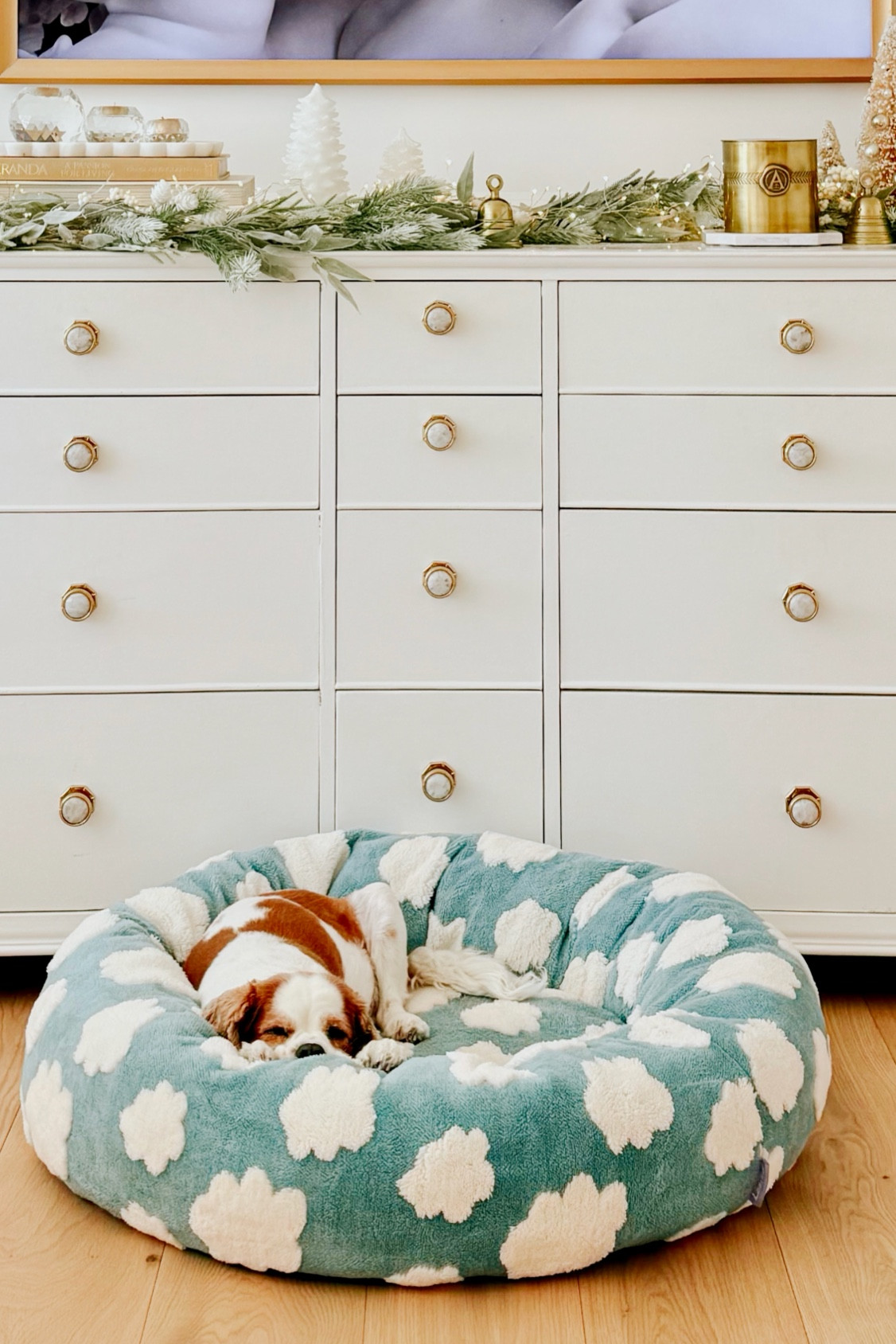 Coziest bed that Maggie loves. She has the medium size doughnut bed. I also have the matching cloud blanket for her. ☁️ 
The covers can be removed for easy washing. The soft fabric is super comfy. 
The blankets have a waterproof liner inside.👏🏼 
All affordable and quick and easy to get from Amazon! 

#LTKSaleAlert #LTKFindsUnder50 #LTKHome