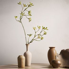 Faux Kangaroo Paw Stem | West Elm (US)