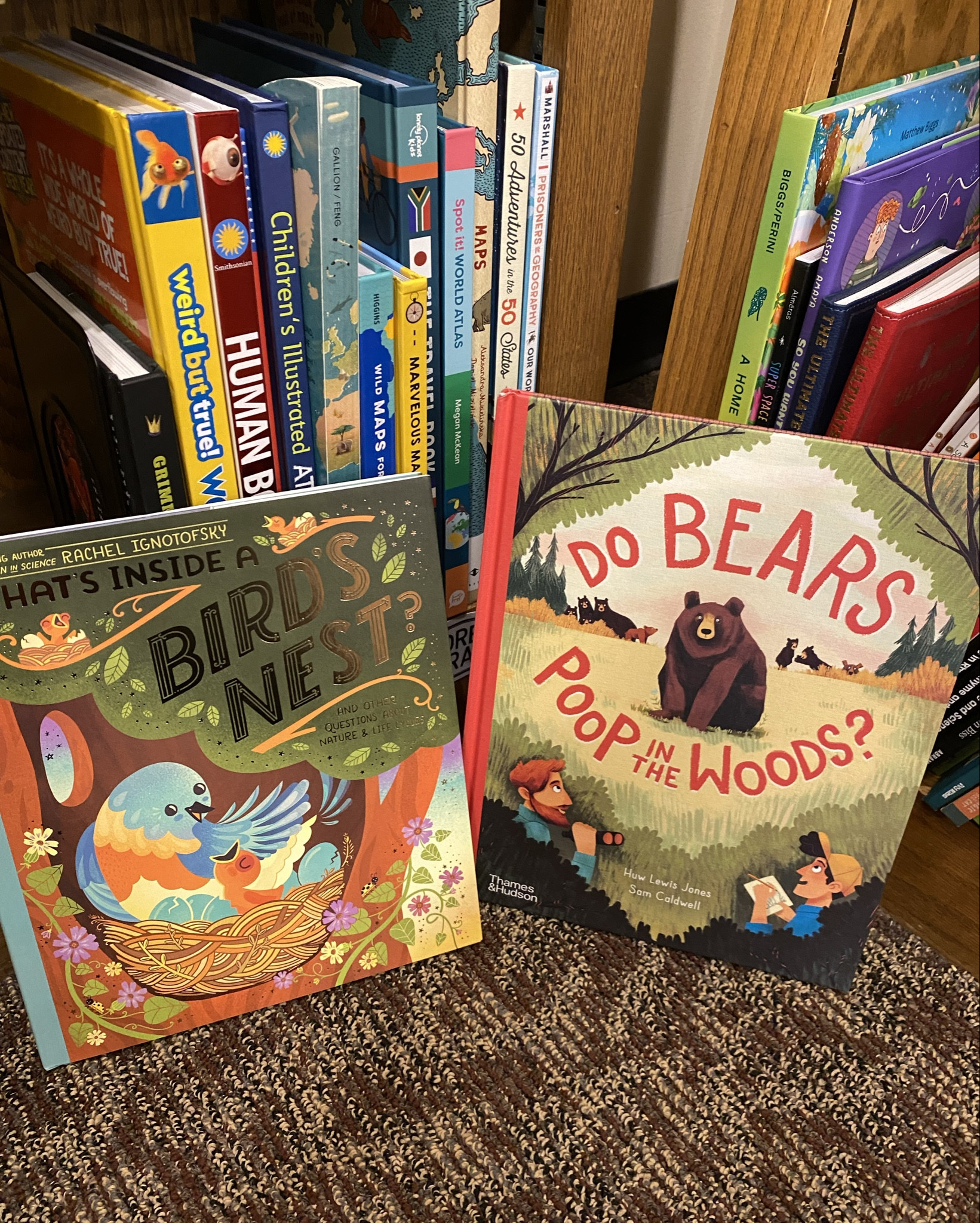 I’ve been on the hunt for more “spring” books to add to our homeschool library! I flipped through some fun ones yesterday. Favs linked! 🤍☀️

#LTKkids #LTKfamily #LTKhome