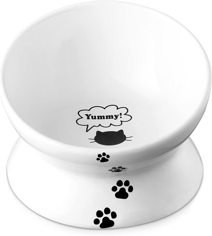 Y YHY Cat Bowl Anti Vomiting, Raised Cat Food Bowls, Tilted Elevated Cat Bowl, Ceramic Pet Food B... | Amazon (US)