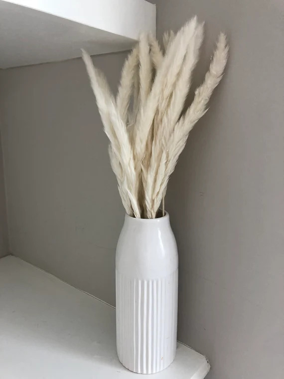 White Slim Dried Pampas Grass | Etsy | Etsy (US)