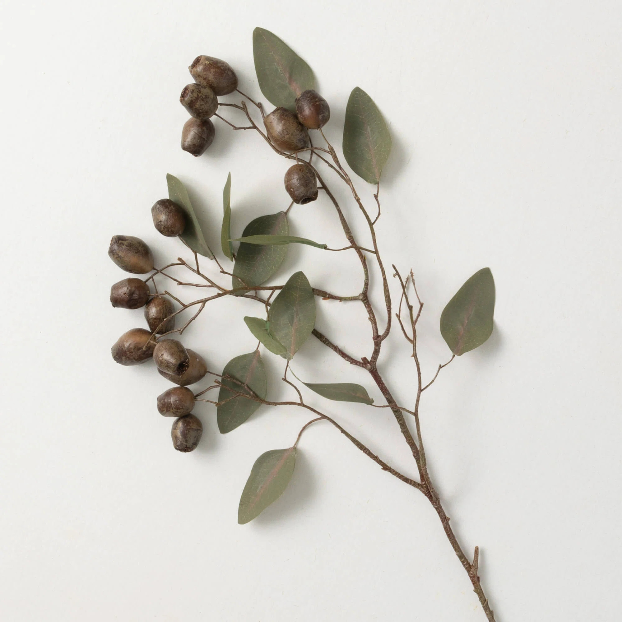 Primrue 27" Artificial Seeded Eucalyptus Spray | Wayfair | Wayfair North America