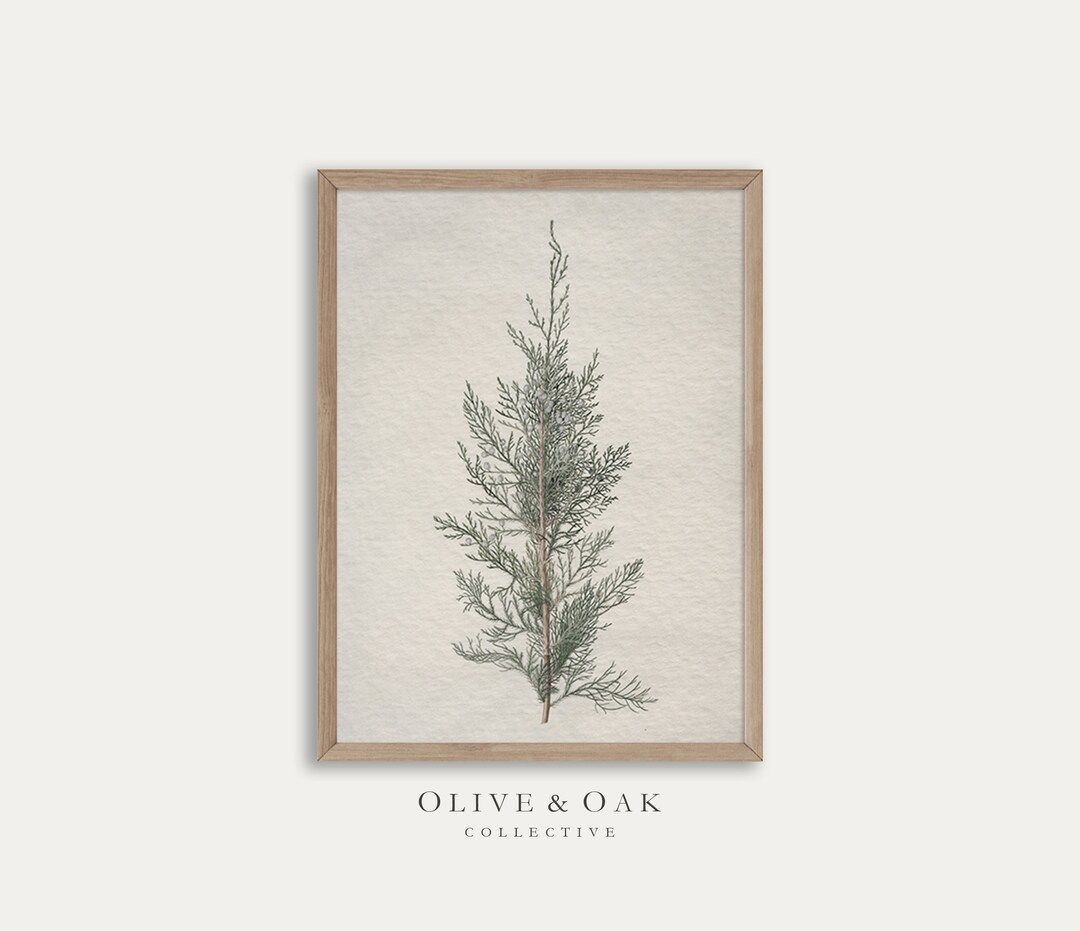 Winter Botanical Art Print / Cozy Winter Decor PRINTABLE / Juniper Tree Branch Drawing / #371 | Etsy (US)