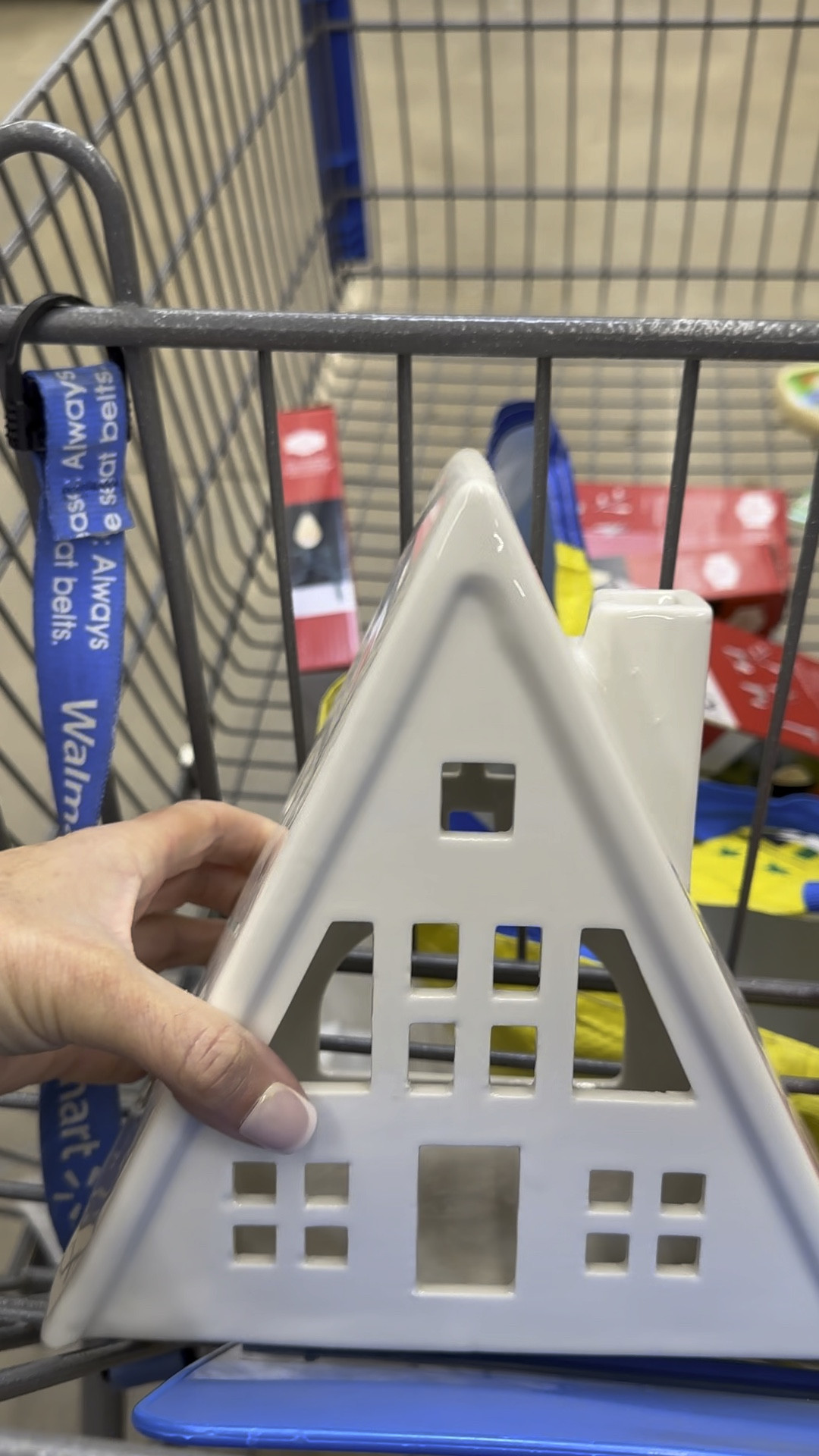 What I bought from the holiday decor at Walmart!


#LTKHome #LTKVideo #LTKSeasonal