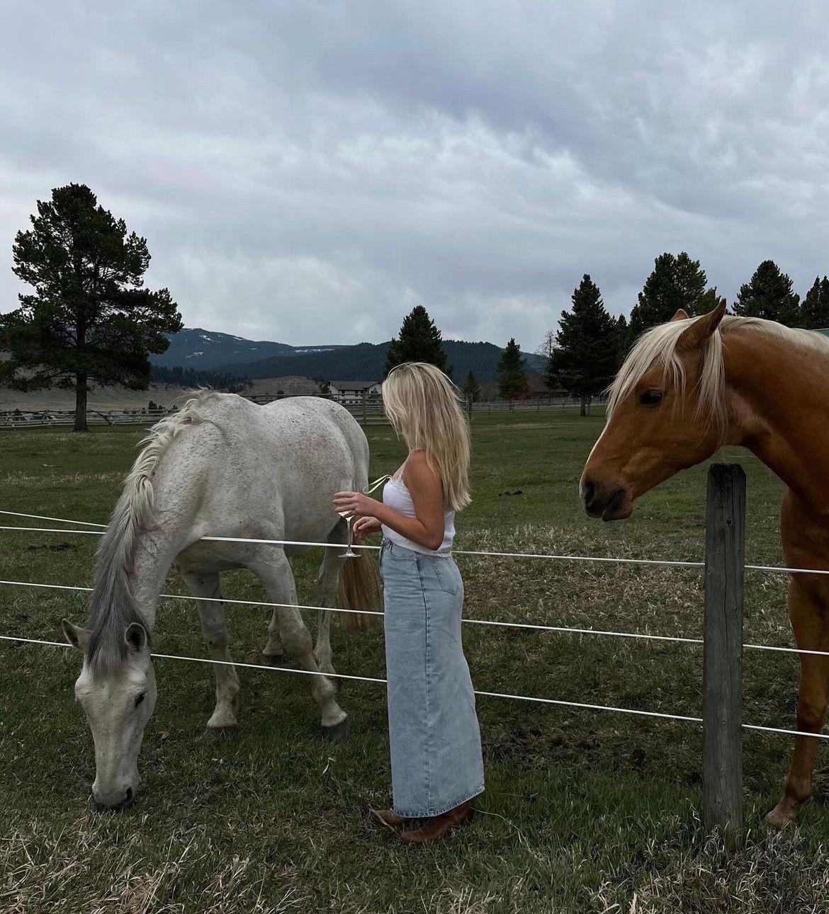 🐴🍃🌾🐓

#LTKSeasonal #LTKU #LTKWorkwear