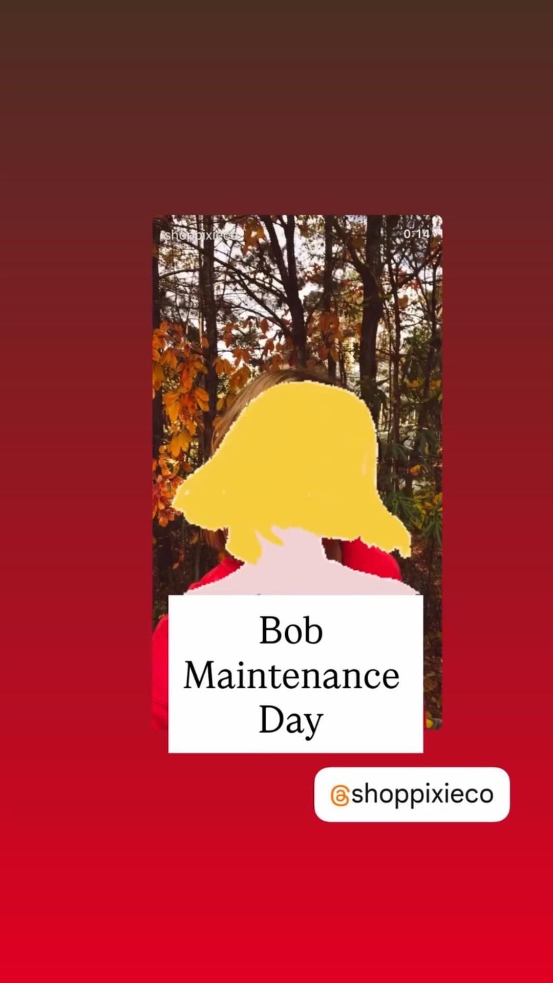 Bob 
Maintenance 
Day