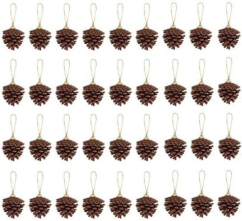 36pcs 2.5" Christmas Pine Cone Ornaments with String,Natural Wood Ornament for Christmas Tree and... | Amazon (US)