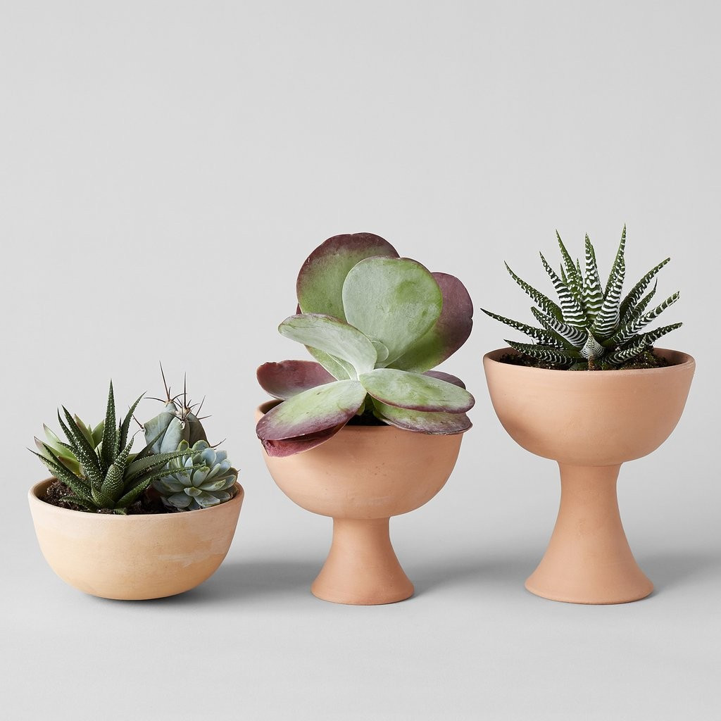 Goblet Terra Cotta Planter | Bloomist