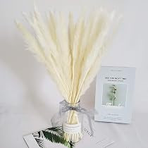 Belle Fleur 30 Pcs Natural Dried Pampas Grass Reed Grass Plume Dried Flower Phragmites Communis f... | Amazon (US)