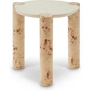 Meridian Furniture 99036-ET Thor Collection Modern | Contemporary End Table with Rich Burl Veneer... | Amazon (US)
