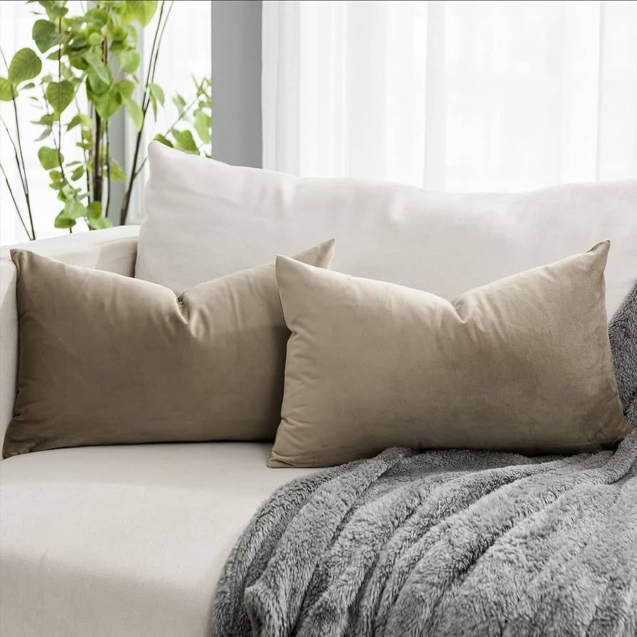QUAFOO Velvet Decorative Lumbar Throw Pillow Covers 12x20 Set of 2,Stone Rectangle Solid Soft Cus... | Amazon (US)