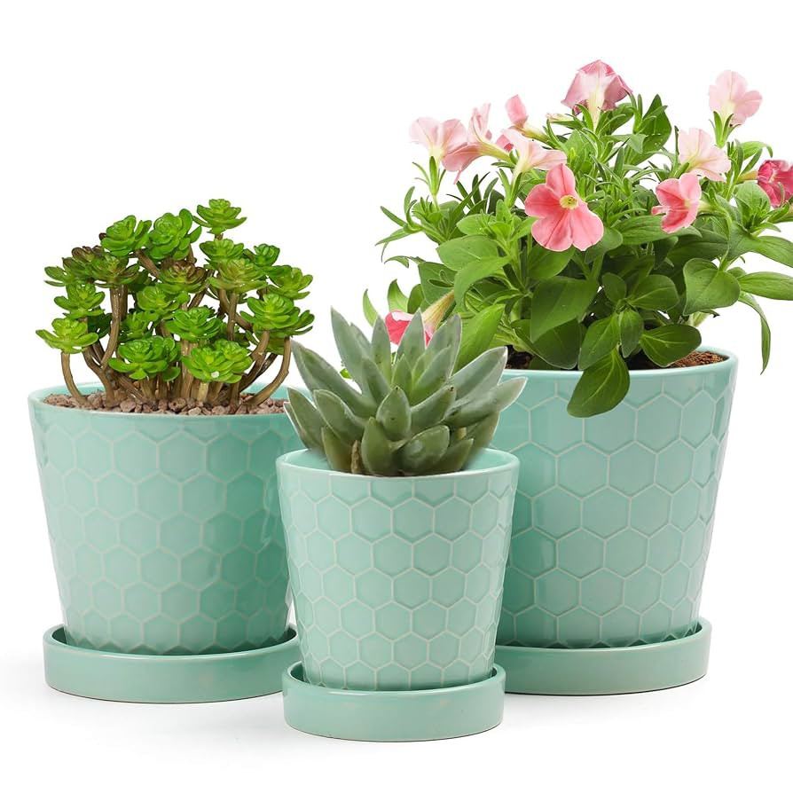 EFISPSS Ceramic Plant Pots –4”+5”+6” inch Set of 3, Planters with with Drainage Holes and... | Amazon (US)