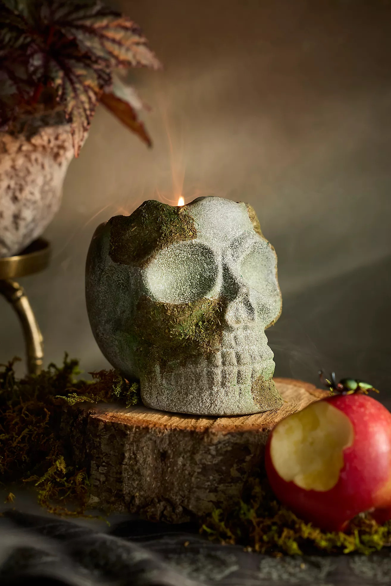 Mossy Skull Candle, Crackling Fireside | Anthropologie (US)