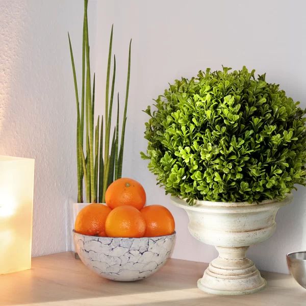 16'' Faux Boxwood Topiary in Cement Urn | Wayfair North America