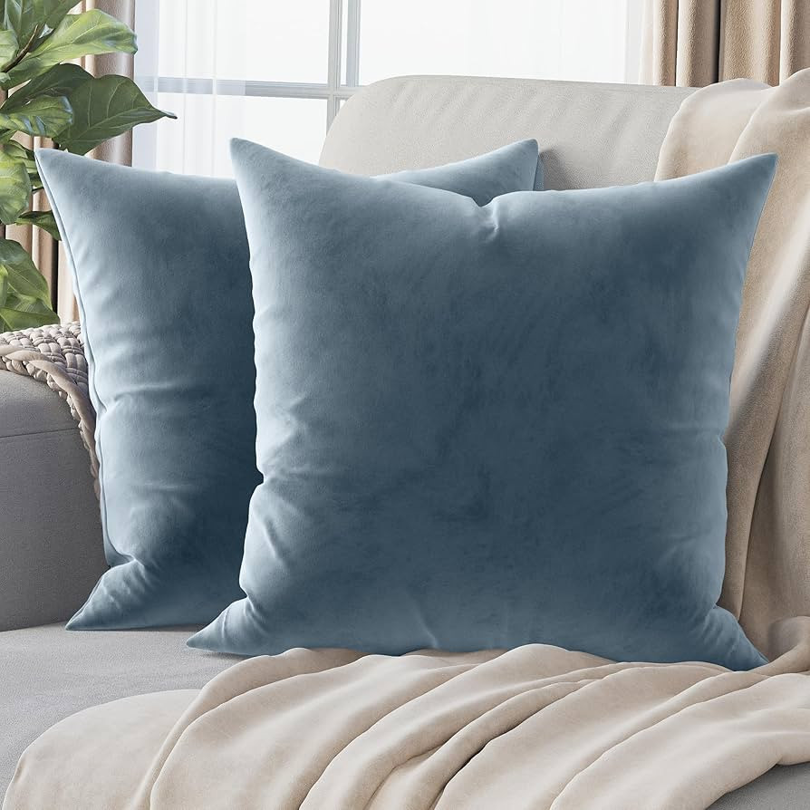 NEATERIZE Premium Velvet Pillow Covers 18x18 Dusty Blue - Washable Decorative Fabric Throw Pillow... | Amazon (US)
