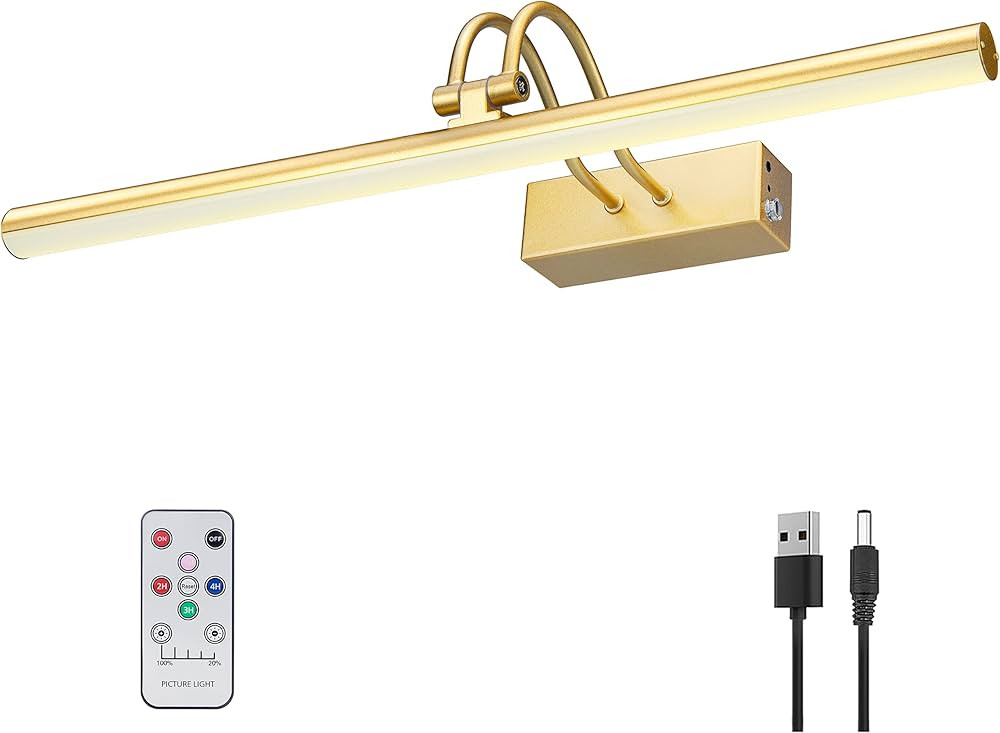 Picture Light,16in Battery Operated Art Lights for Paintings,Remote Control Display Light with Ti... | Amazon (US)