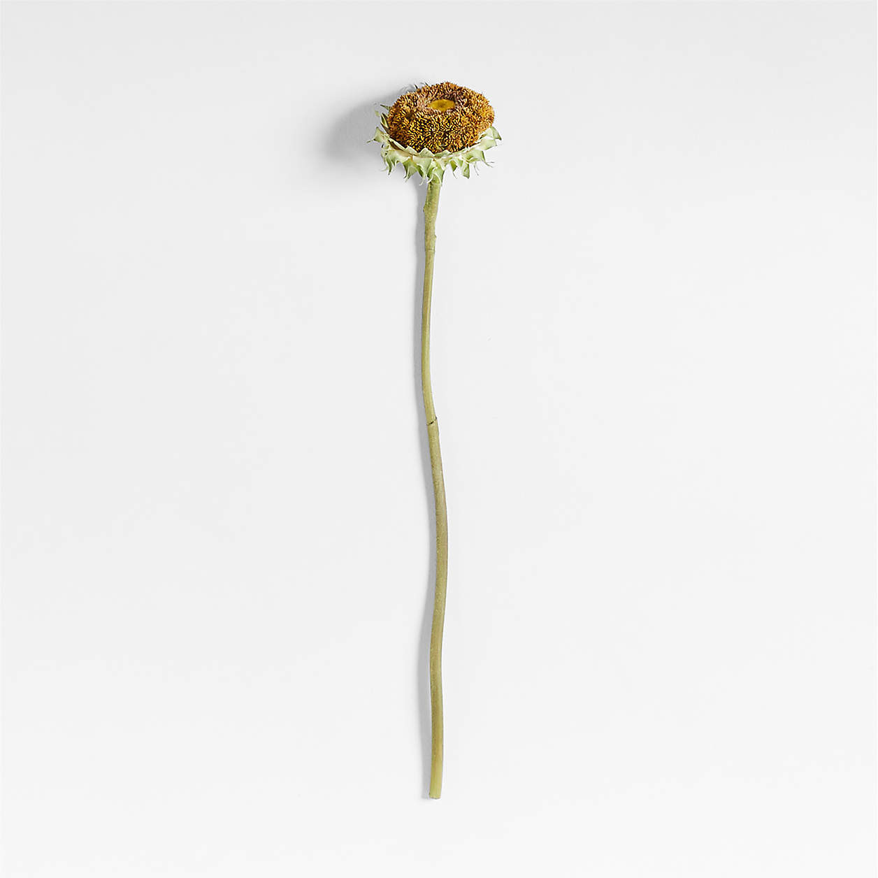 Faux Sunflower Stem 35" by Abigail Ahern + Reviews | Crate & Barrel | Crate & Barrel