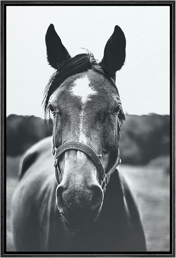 SIGNWIN Framed Canvas Wall Art High Contrast Horse Animals Black and White Duotone Expressive Grey H | Amazon (US)