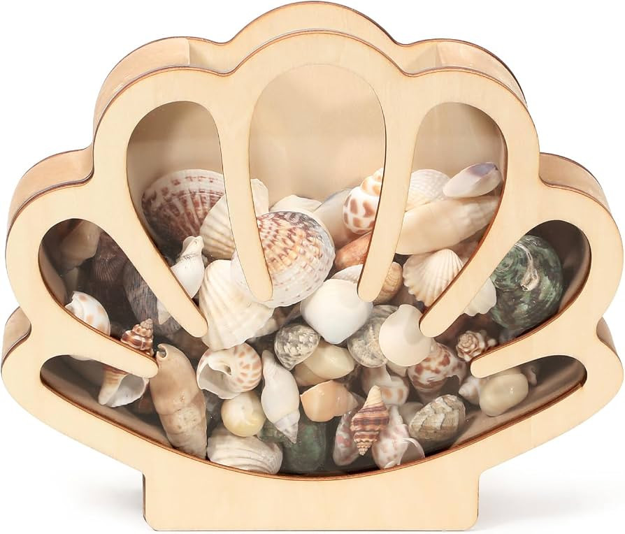 Xylolfsty Seashell Display Box Wooden Seashell Holder with Acrylic Panel Storage Box for Shells S... | Amazon (US)