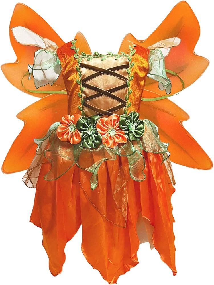 Petitebella Fairy Costume Dress 1-10y | Amazon (US)