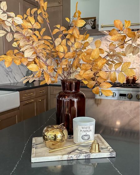 Fall kitchen island decor from Target and Amazon!

studio mcgee, under $25, marble tray, gold decor accents

#LTKunder50 #LTKSeasonal #LTKhome