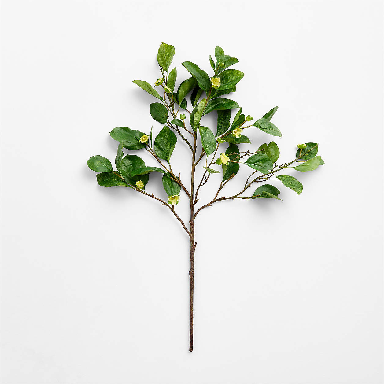 Faux Green Persimmon Branch 41" | Crate & Barrel | Crate & Barrel