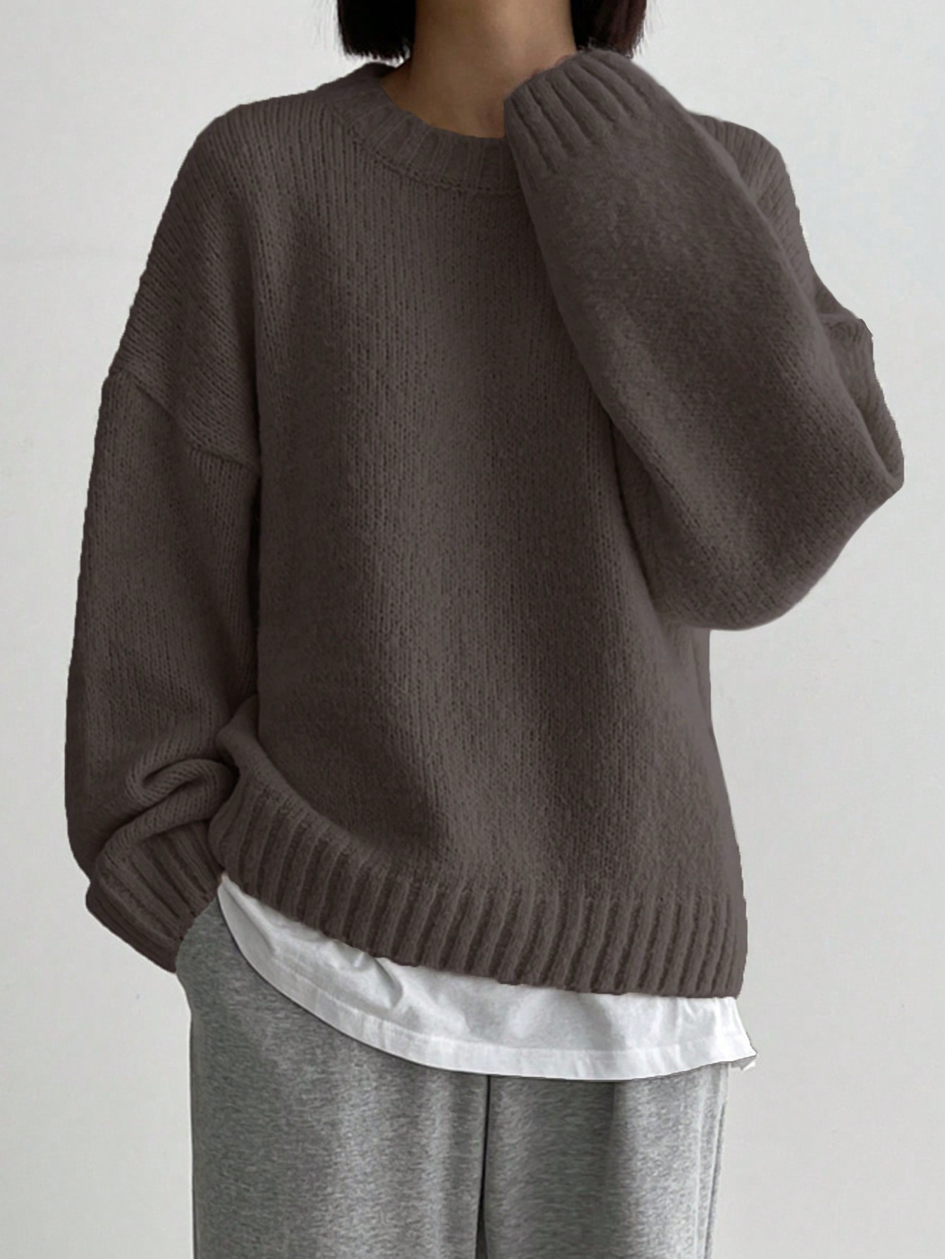 DAZY Plain Crew Neck Long Sleeve Simple Oversized Sweater, Casual Daily Wear | SHEIN USA | SHEIN