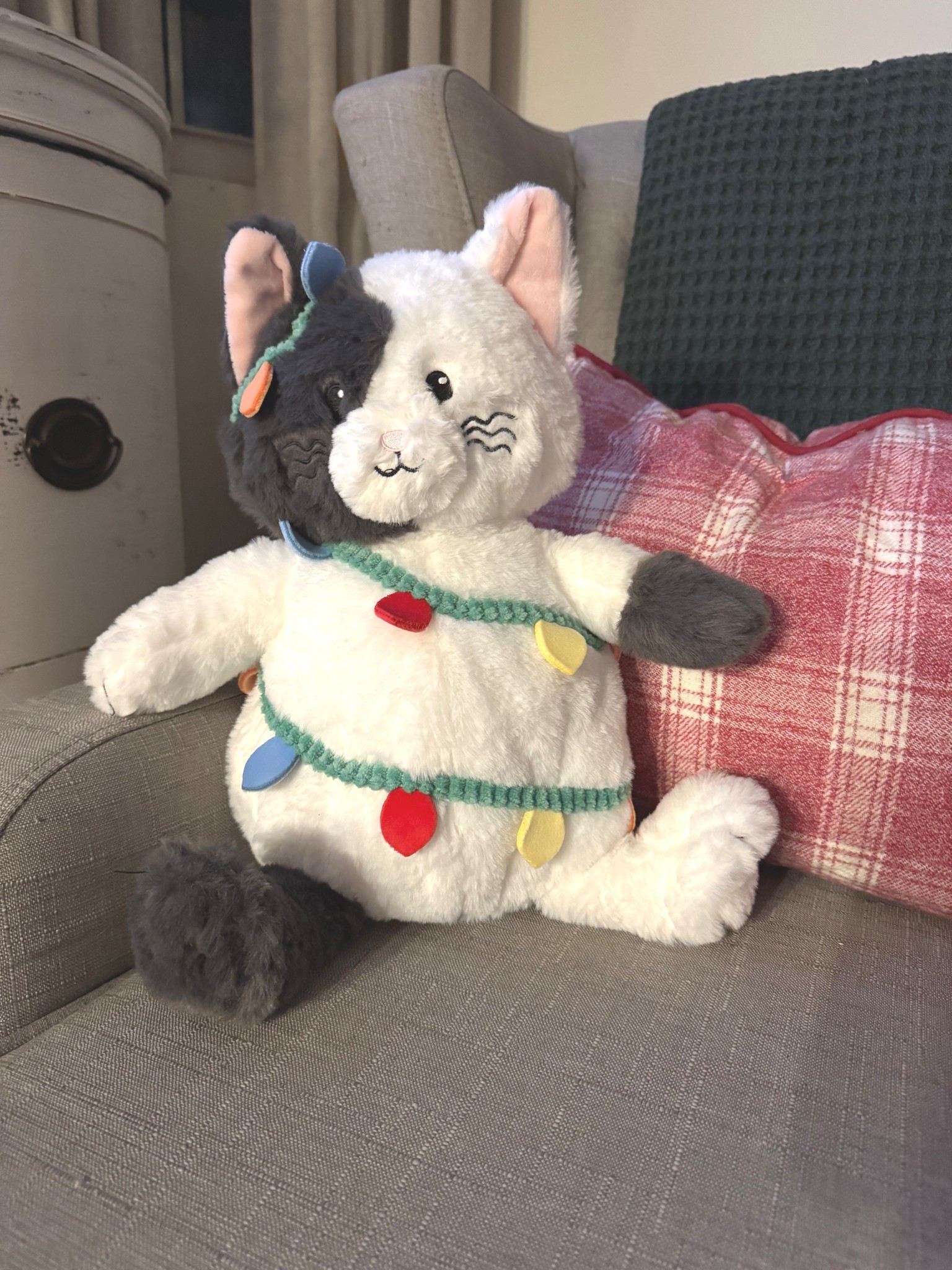 Christmas kitty! 

So cute with the lights wrapped around him! 

#LTKHoliday #LTKGiftGuide