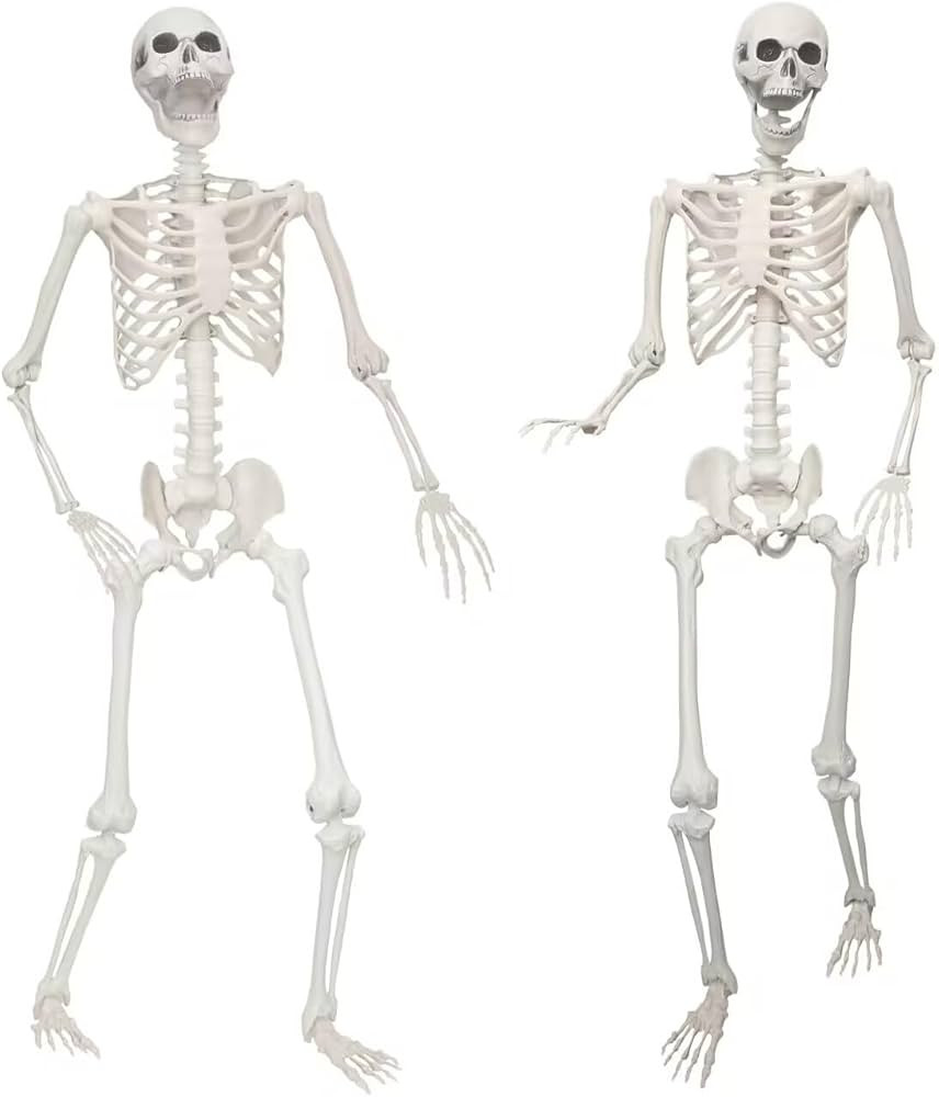 Lodou 2 Pack 5.4ft/165cm Life Size Skeleton Halloween Skeletons,Full Body Human Bones with Movabl... | Amazon (US)