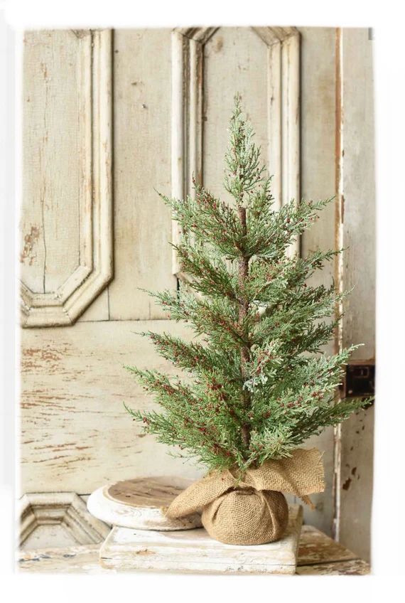 Artificial Mini Christmas Tree, Potted Cedar Tree, Faux Cedar Topiary,  Tabletop Christmas Tree, | Etsy (US)