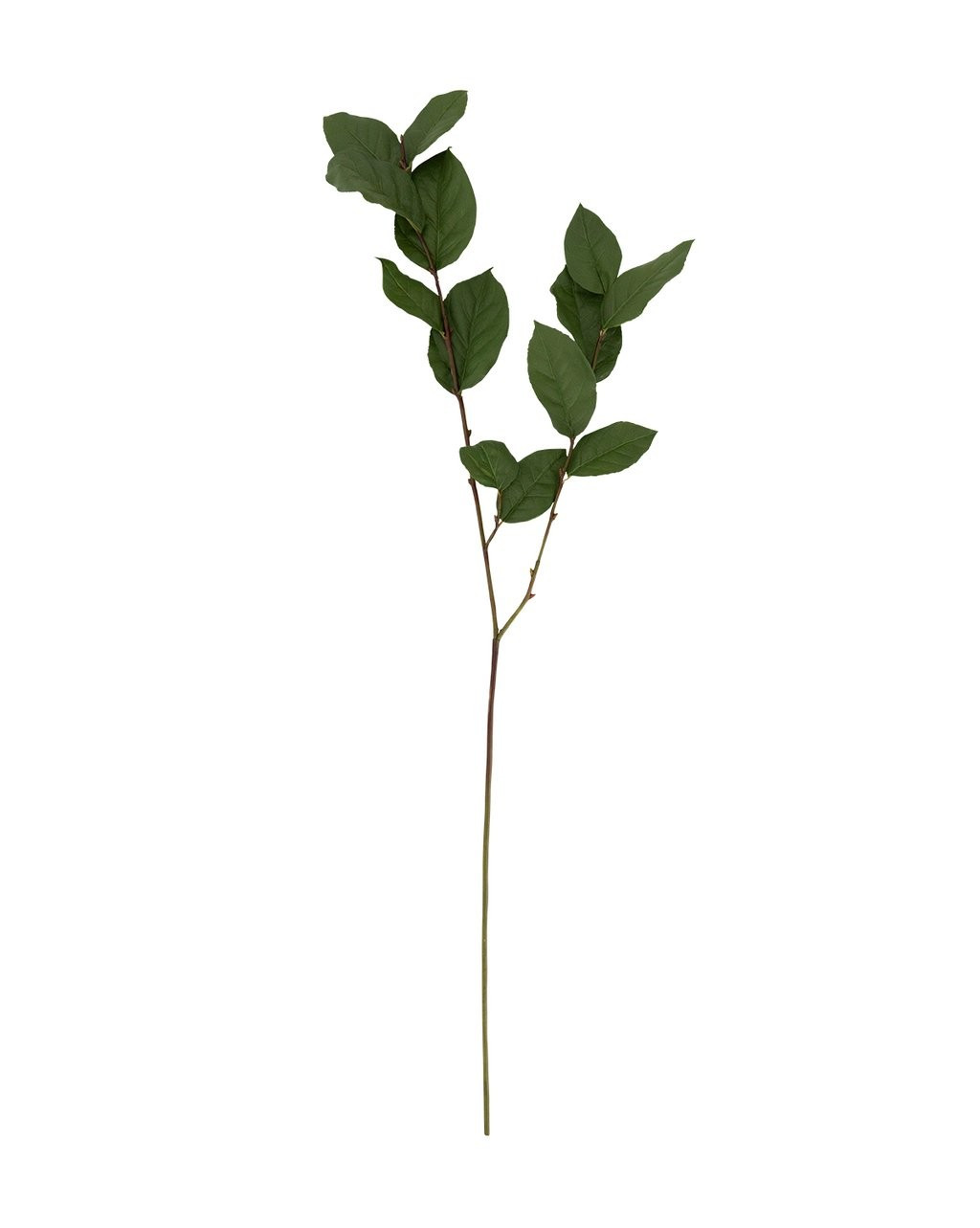 Faux Salal Stem | McGee & Co.