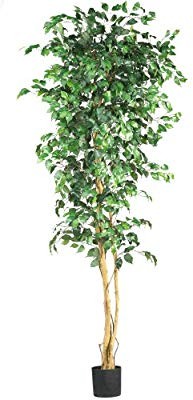 Amazon.com: Nearly Natural 6ft. Ficus Artificial Trees, 72in, Green: Home & Kitchen | Amazon (US)