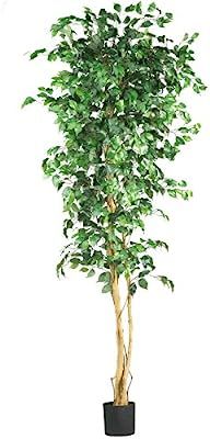 Amazon.com: Nearly Natural 6ft. Ficus Artificial Trees, 72in, Green: Home & Kitchen | Amazon (US)