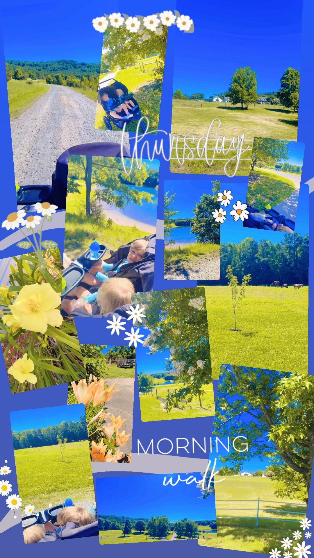 Morning walks 🌾🌻🐴🪻🌳