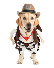 Cowboy Pet Costume | TJ Maxx