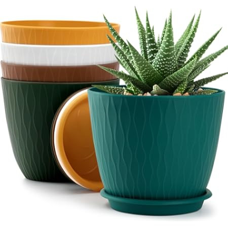 5 Pack Indoor 6 Inch Plant Pots, Flower Pots Outdoor Planter Planting with Drainage Holes, and Tray Saucers for All Home Gardens Succulents | Amazon (US)