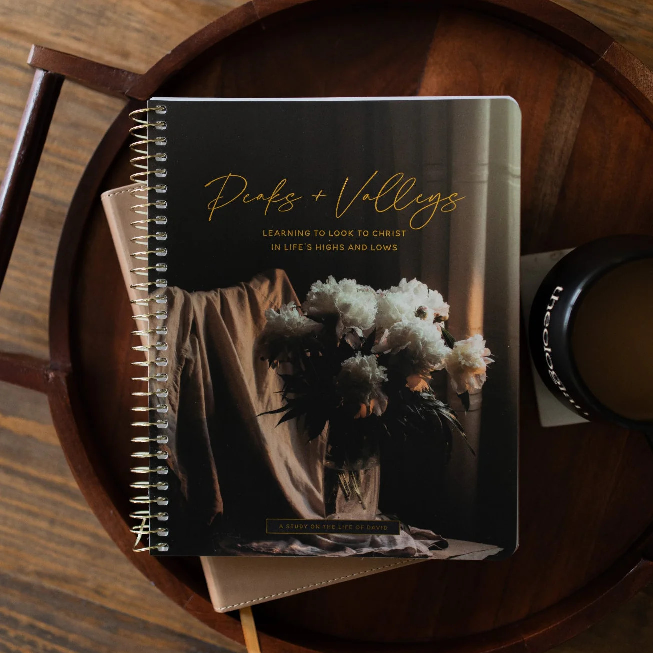 Peaks and Valleys | A Study on the Life of David | The Daily Grace Co.