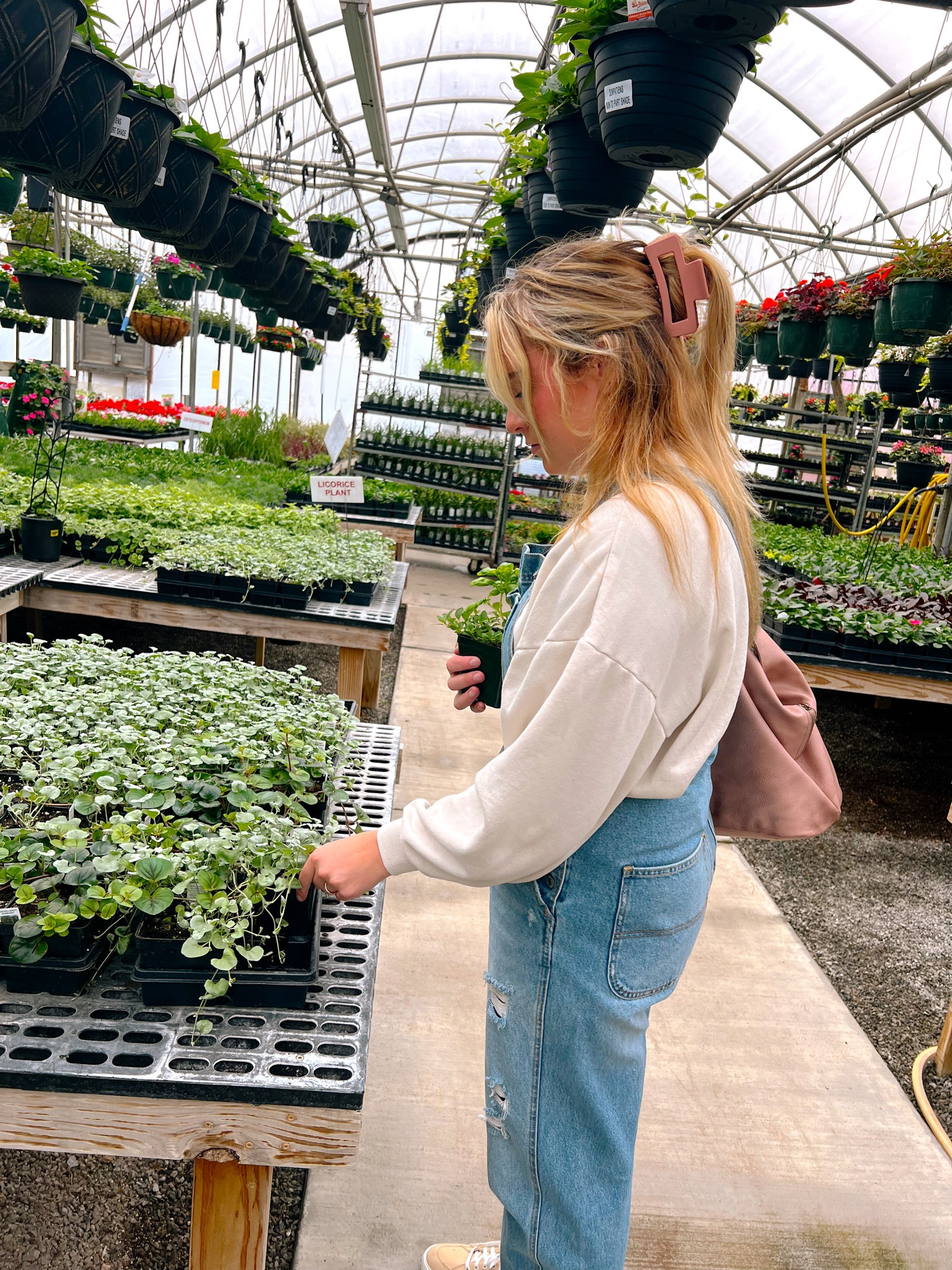 Spring Flower Shopping 🌿🌸

#LTKSeasonal #LTKitbag #LTKstyletip