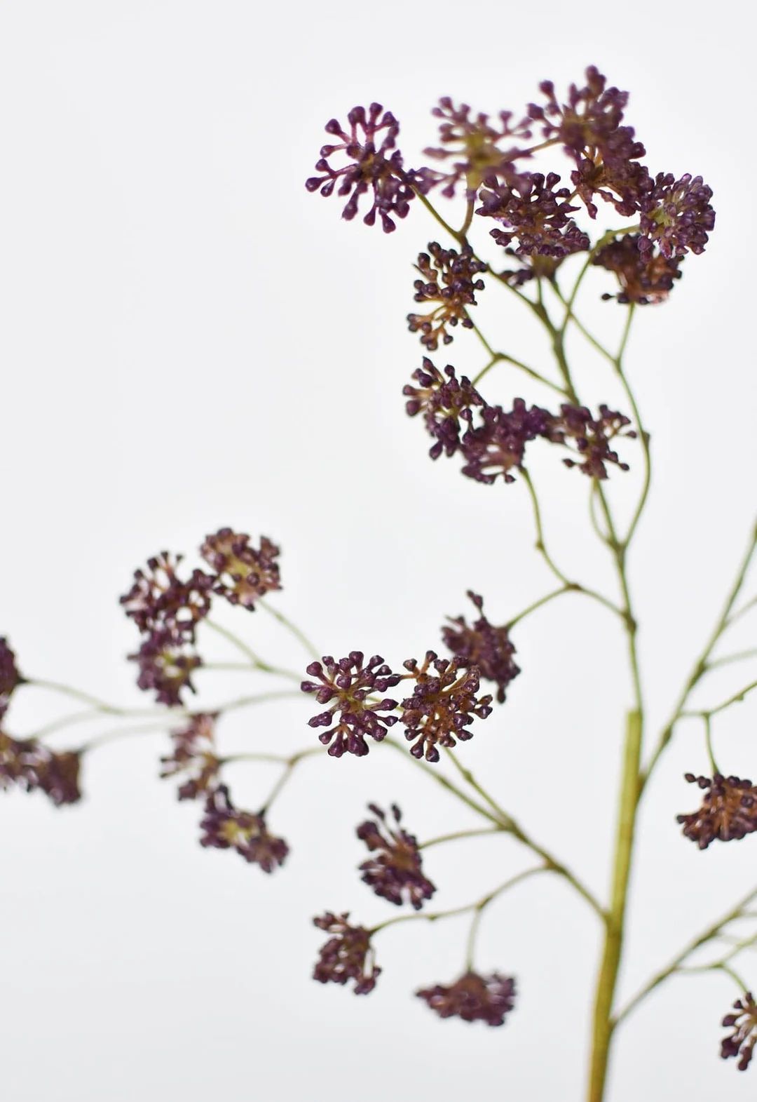 16" Faux Plum Purple Soft Sedum Spray | Etsy (US)