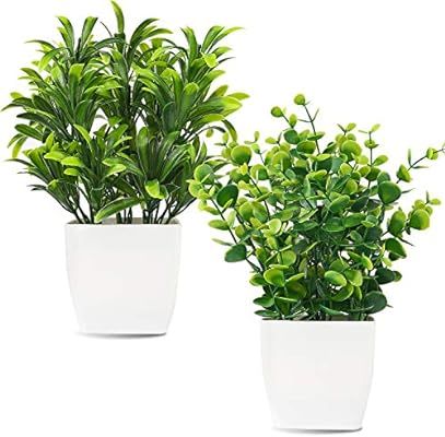 Whonline 2pcs Artificial Mini Potted Plants Fake Plastic Eucalyptus Leaves Plants for Home Offic... | Amazon (US)
