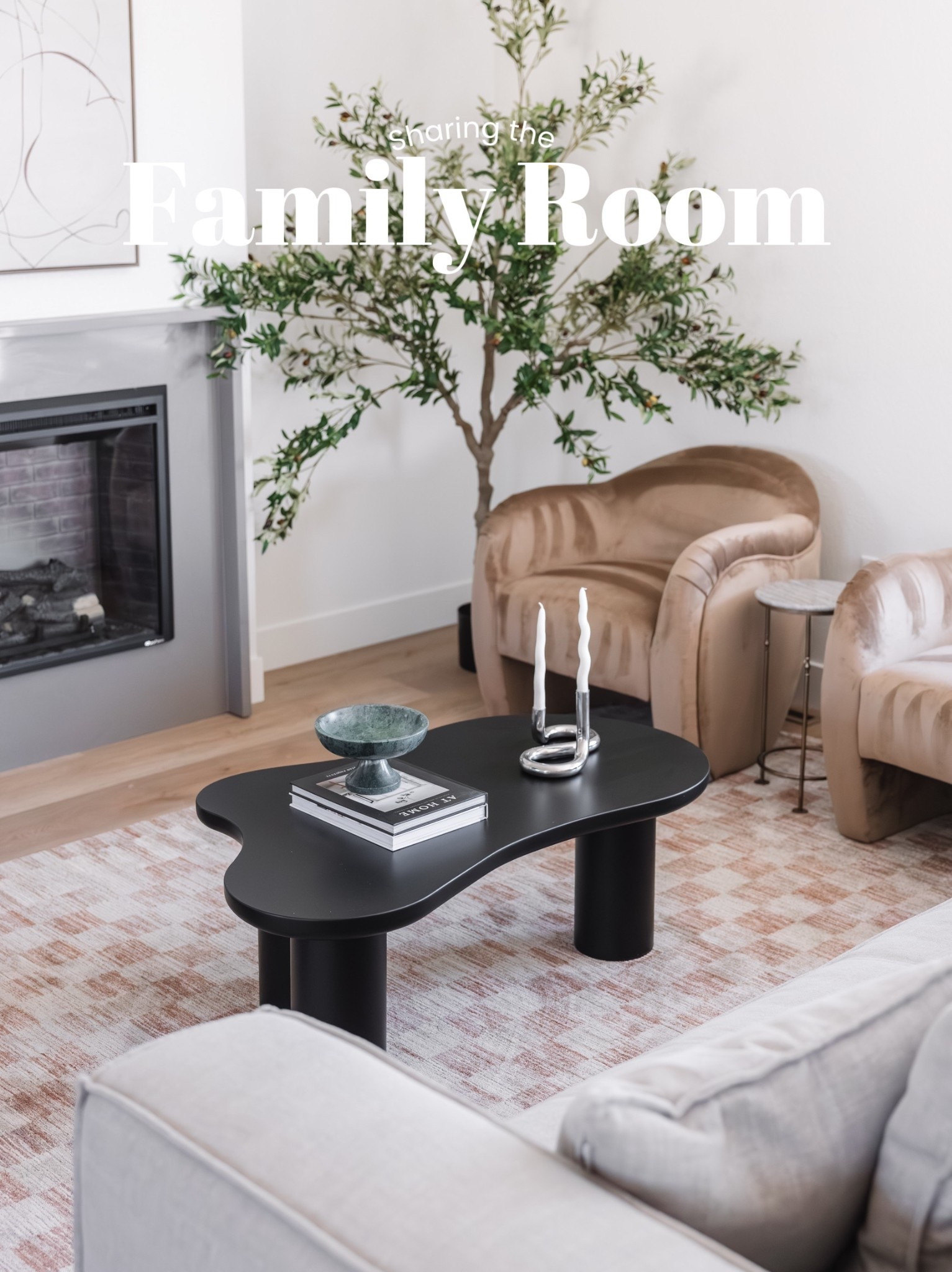 Family room at our flip house!

Rug 
Furniture 
Chair 
Coffee table 
Tree 

#LTKFindsUnder100 #LTKStyleTip #LTKHome