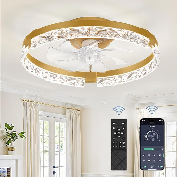 LEDIARY 20 Inch Low Profile Ceiling Fans with Lights and Remote, Fandelier Ceiling Fan Flush Moun... | Amazon (US)